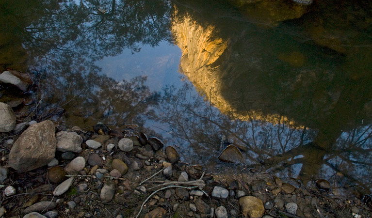 Abercrombie River NSW Tourism Caloundra
