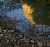 Abercrombie Karst Conservation Reserve - Tourism Caloundra