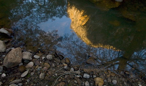 Abercrombie Karst Conservation Reserve - Tourism Caloundra 0