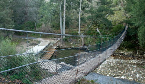 Abercrombie Karst Conservation Reserve - Tourism Caloundra 1
