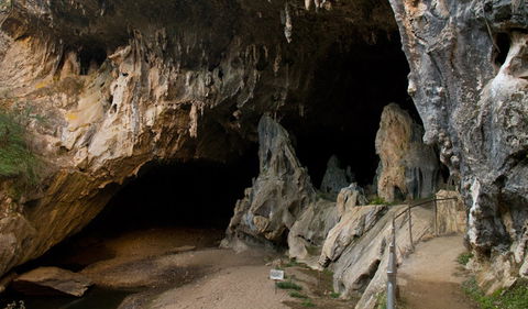 Abercrombie Karst Conservation Reserve - Tourism Caloundra 2