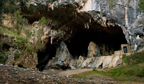 Abercrombie Karst Conservation Reserve - Tourism Caloundra 3