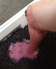 Billy Button Wines - Tourism Caloundra 1