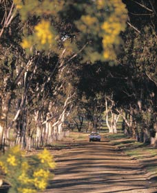 Wogolin ACT Tourism Caloundra