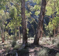 Mount Gray walking track - Tourism Caloundra