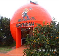 Gayndahs Big Orange - Tourism Caloundra