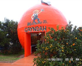 Gayndahs Big Orange - Tourism Caloundra 0