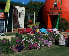Gayndahs Big Orange - Tourism Caloundra 1