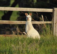 Panorama Garden Estate - Tourism Caloundra