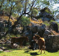 Coomba Falls - Tourism Caloundra