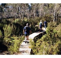 Hume and Hovell Walking Track - Henry Angel Trackhead - Tourism Caloundra