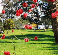 The Yass Golf Club - Tourism Caloundra