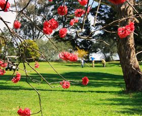 The Yass Golf Club - Tourism Caloundra 0
