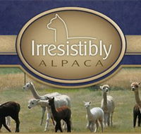 Marchmont Park Alpacas - Tourism Caloundra