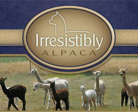 Marchmont Park Alpacas - Tourism Caloundra 0