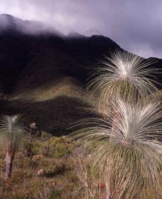 Bluff Knoll, Stirling Range National Park - Tourism Caloundra 3