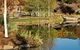 The Water Garden At Mayfield Garden - thumb 1