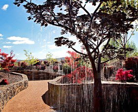 The Water Garden At Mayfield Garden - Tourism Caloundra 2