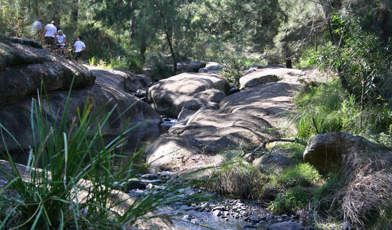 Belltrees NSW Tourism Caloundra