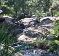 Towarri National Park - Tourism Caloundra