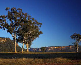 Capertee Valley Bird Trail - Tourism Caloundra 0