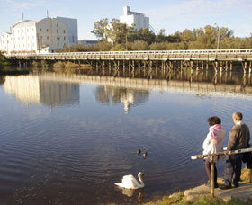 Avon River - Tourism Caloundra 1