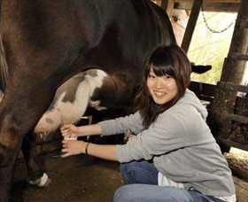 Warrook Farm - Tourism Caloundra 2