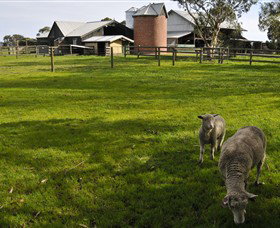 Warrook Farm - Tourism Caloundra 4