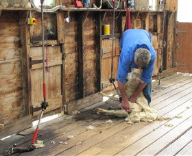 Warrook Farm - Tourism Caloundra 3