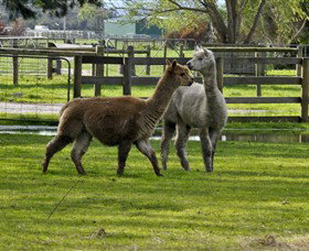 Warrook Farm - Tourism Caloundra 6
