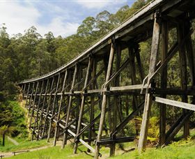 Noojee VIC Tourism Caloundra