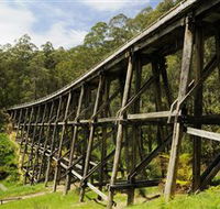 Noojee Trestle Bridge - Tourism Caloundra
