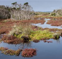 French Island National Park - Tourism Caloundra