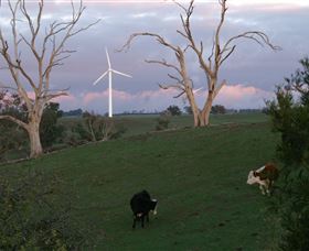 Crookwell Wind Farm - Tourism Caloundra 1