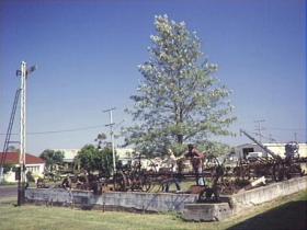 Clifton Historical Museum - Tourism Caloundra 1