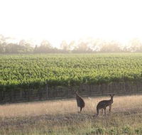 Small Forest Wine - Tourism Caloundra