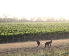 Small Forest Wine - Tourism Caloundra 0