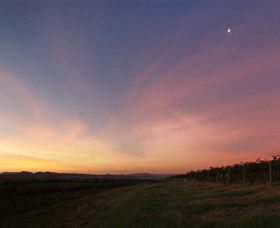 Small Forest Wine - Tourism Caloundra 2