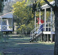 Dryandra Woodland - Tourism Caloundra