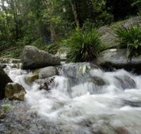 Washpool National Park - Tourism Caloundra