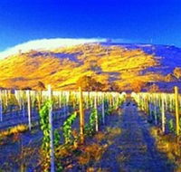 Surveyors Hill Winery - Tourism Caloundra