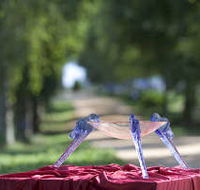 Lillico Glass Studio - Tourism Caloundra