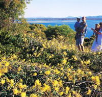 Joseph Banks Conservation Park - Tourism Caloundra