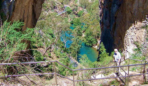 Carlotta Arch Walking Track - Tourism Caloundra 0