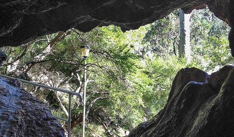 Carlotta Arch Walking Track - Tourism Caloundra 1