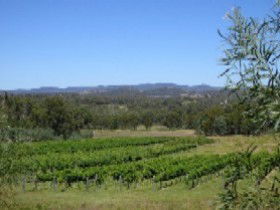 Pyramids Road Wines - Tourism Caloundra 3