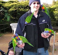 Canberra Walk In Aviary - Tourism Caloundra
