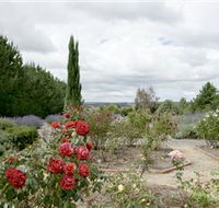 Crystal Brook Lavender Farm - Tourism Caloundra