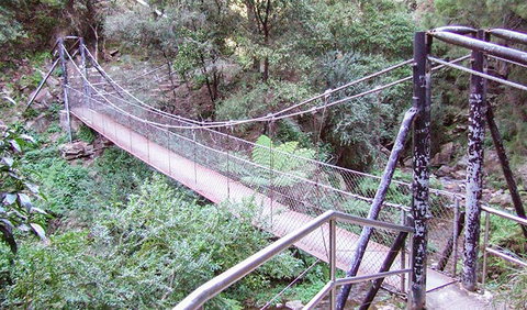 Jenolan River Walking Track - Tourism Caloundra 0