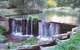 Jenolan River Walking Track - thumb 2